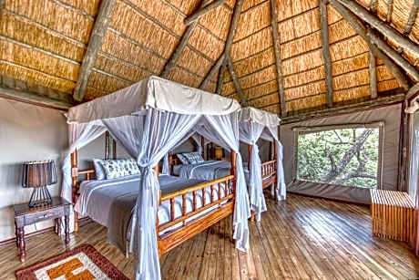 Twin Safari Room
