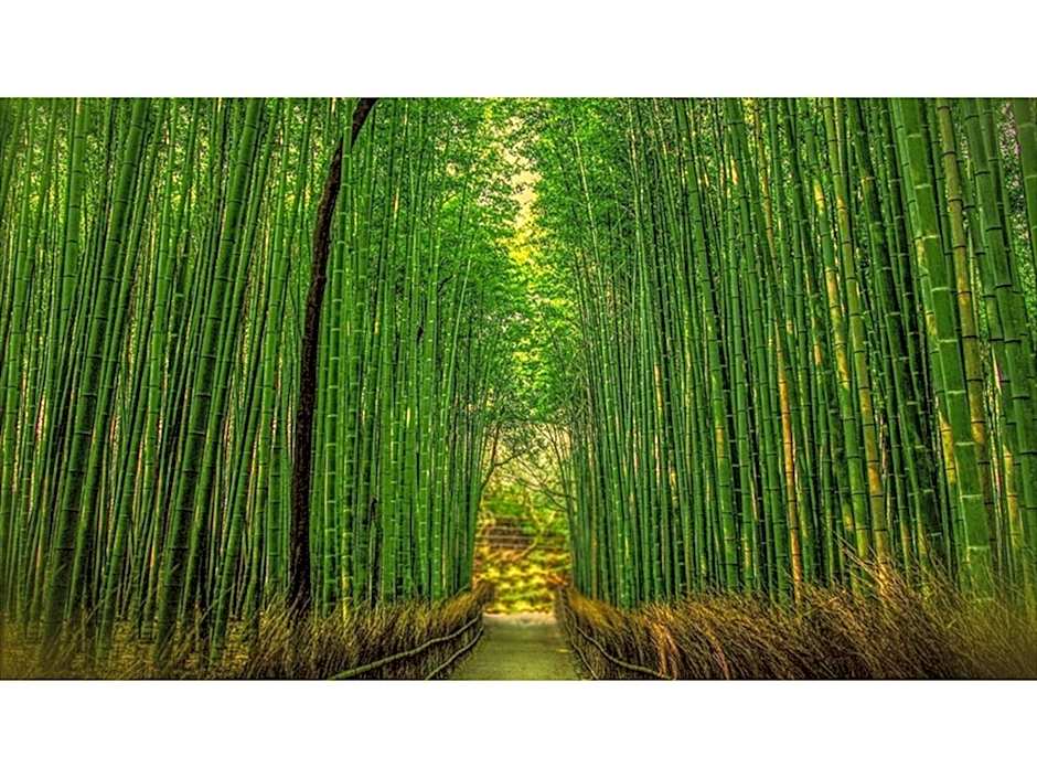 River Side Arashiyama - Vacation STAY 86216v