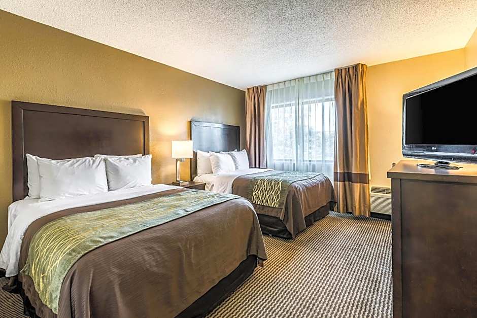 Comfort Inn Detroit Downtown