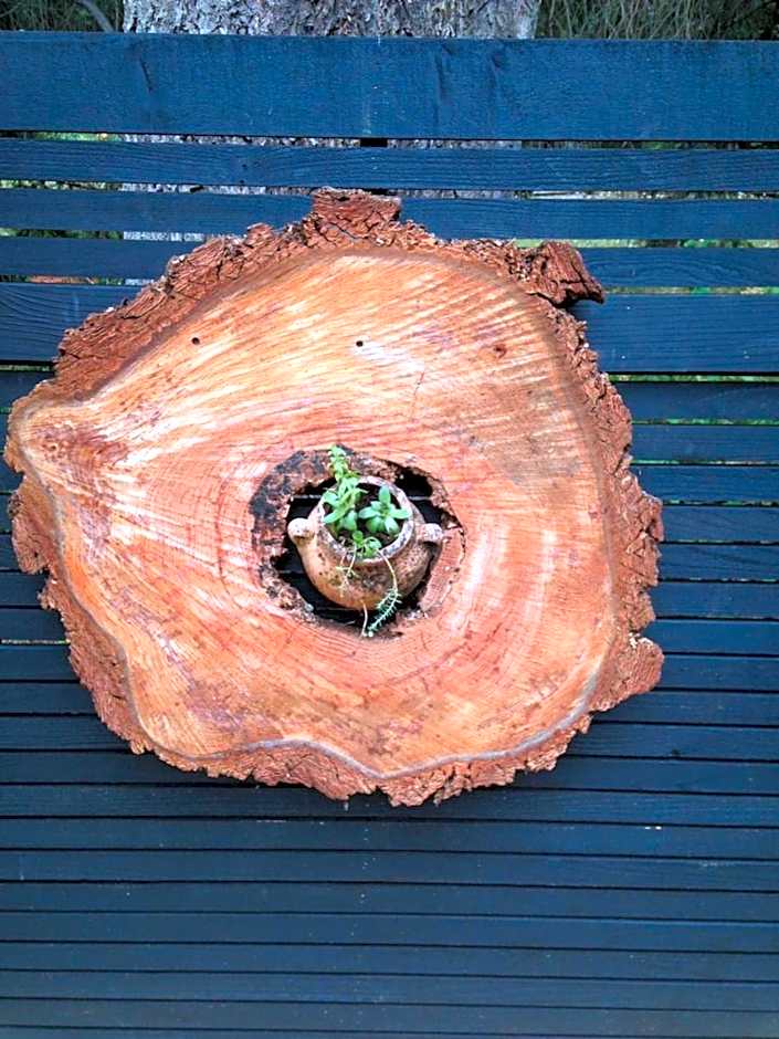 Salt Spring Carriage House B&B