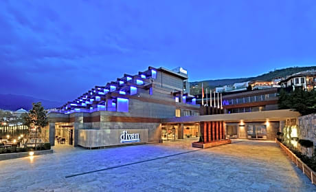 Divan Bursa