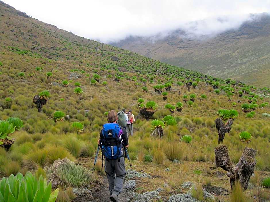 Naro Moru River Lodge