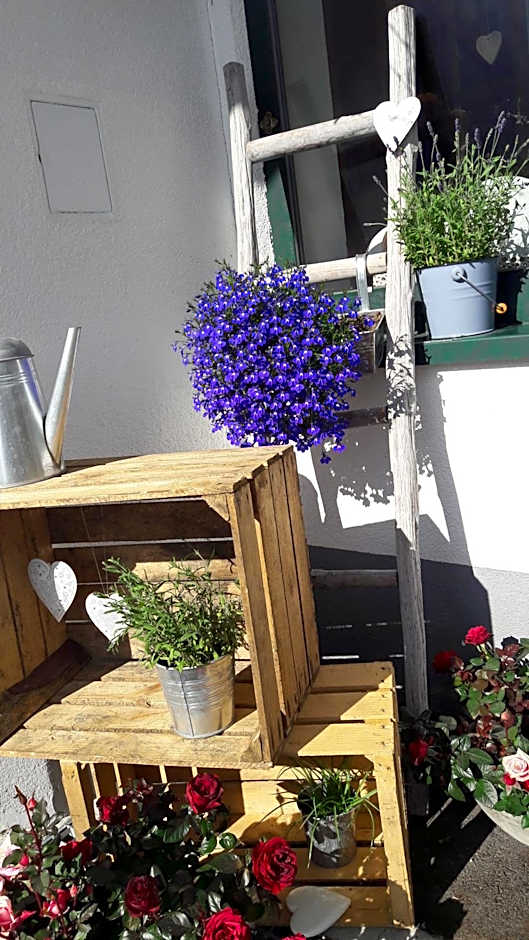 Hotel Casada - Silvretta Premium Card Betrieb