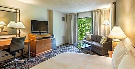 River View 1 King Bed with Sofabed