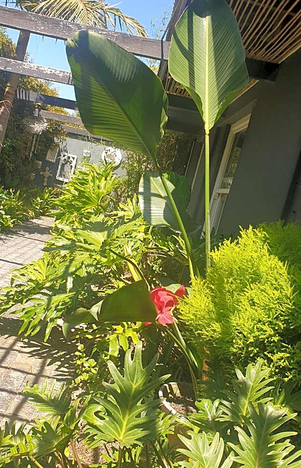 CLEMENT ONE, a villa for family & friends