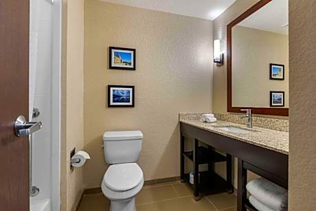 Superior King Suite with Sofa Bed - Non-Smoking