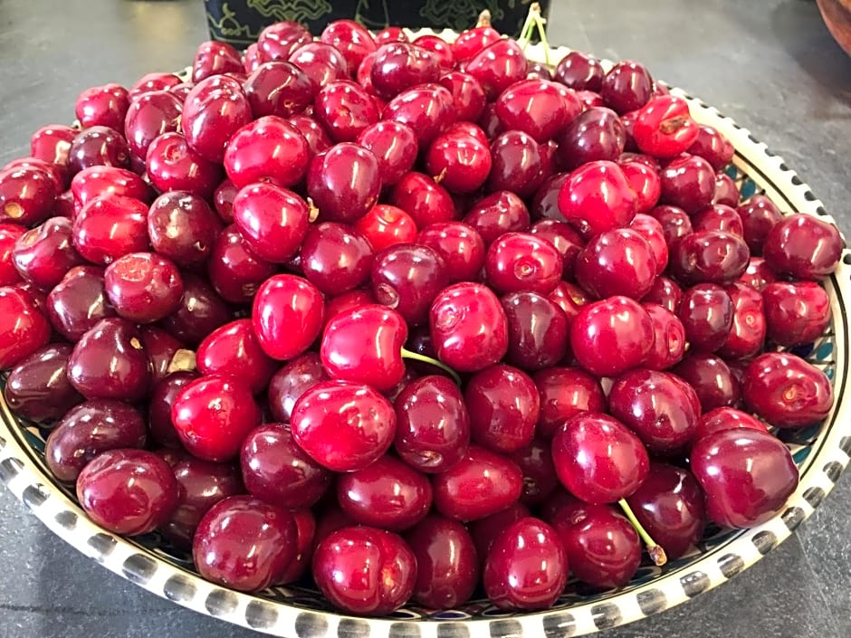 Saint Sever des Pyrenees