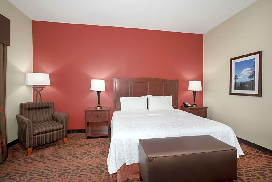 Hampton Inn By Hilton And Suites Denver/South-Ridgegate, Co