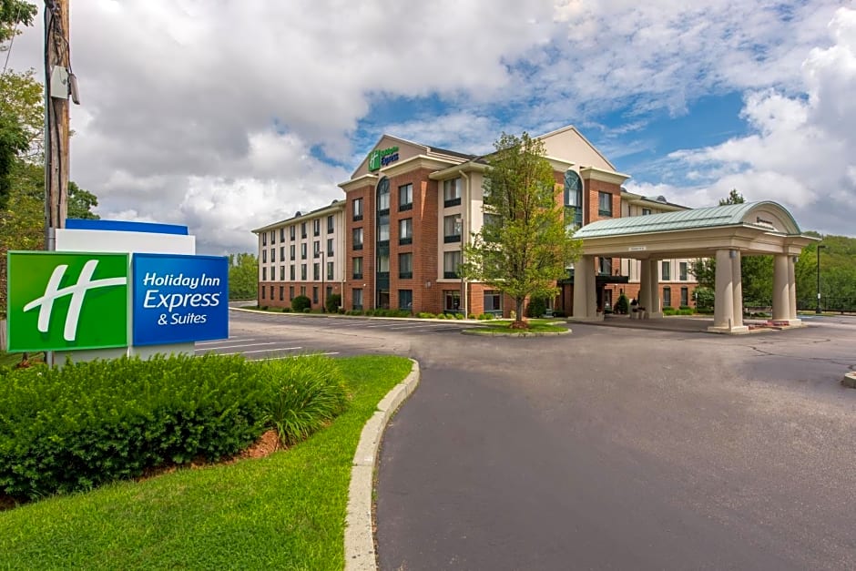 Holiday Inn Express Hotel & Suites Auburn