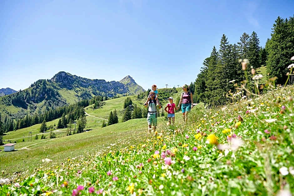 Hotel Gasthaus Schäfle
