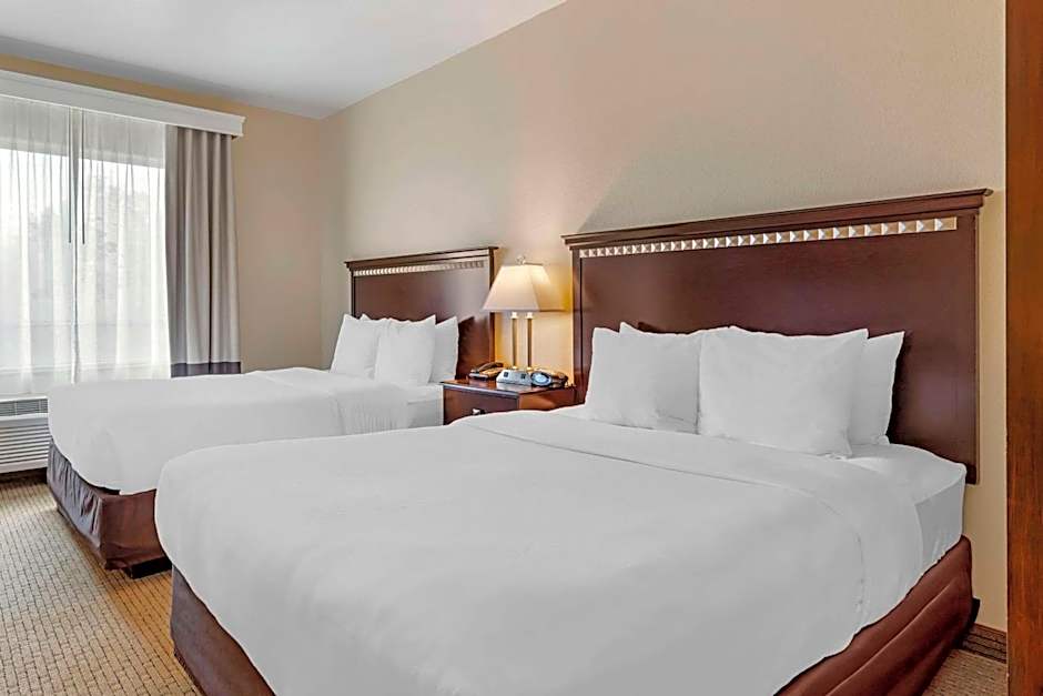 Photo 1 of 4 of 2 Queen Beds Suite, Accessible