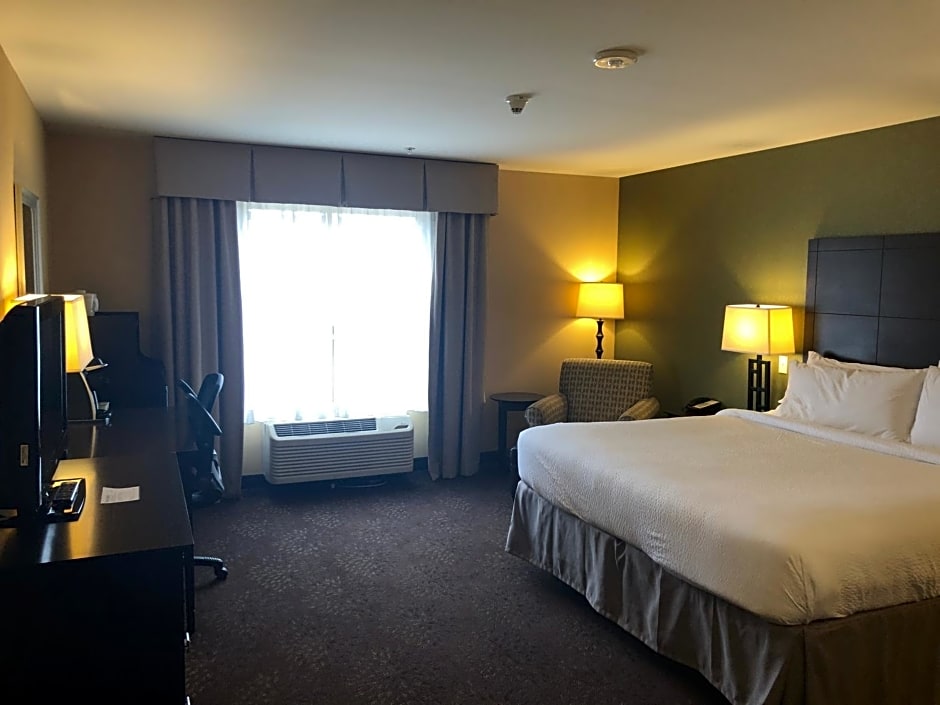 Holiday Inn Express Hotel & Suites Lansing-Dimondale