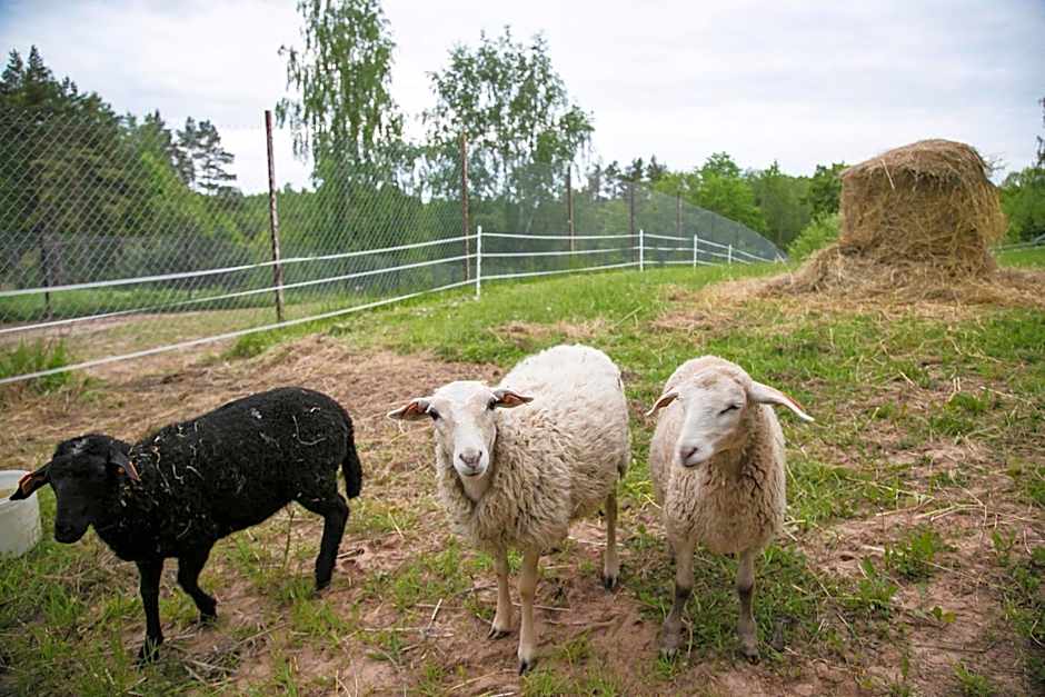 Weavers' Guest House Kalndaki