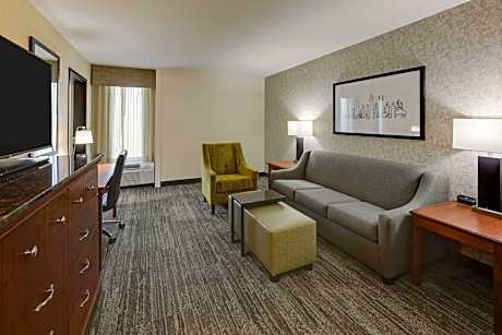 King Suite with Sofa Bed