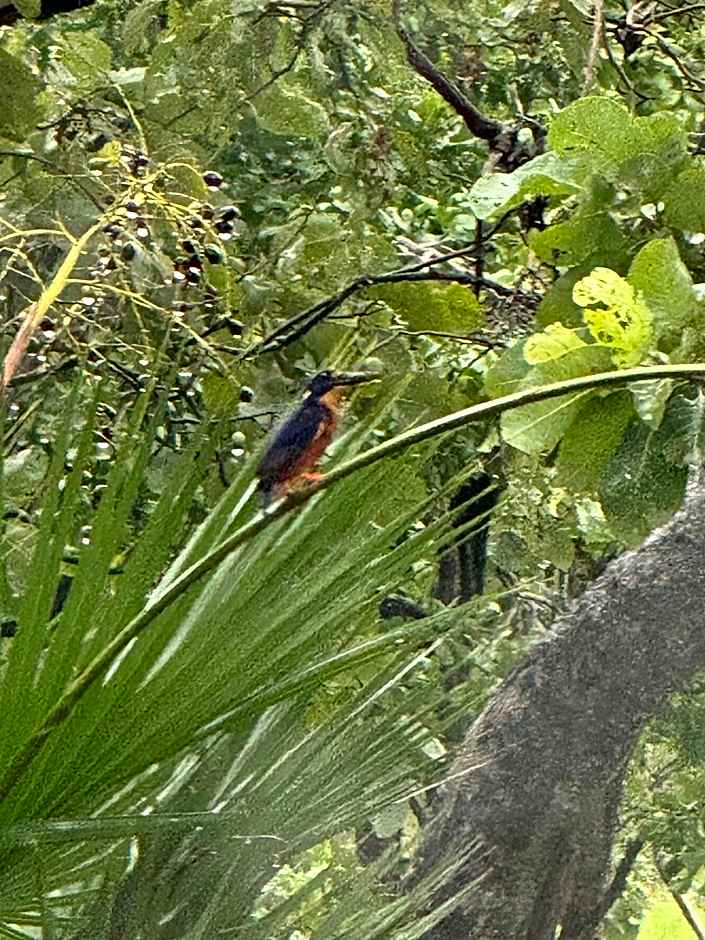 Darwin Boomerang Motel and Caravan Park