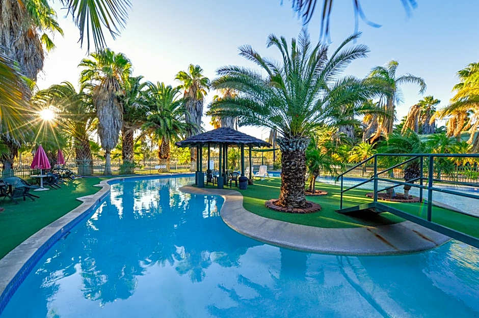 Desert Palms Alice Springs