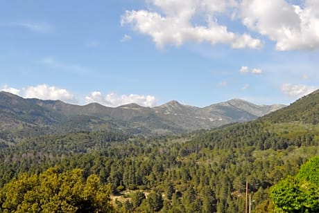 Chambres d'Hôtes Villa Cardellini