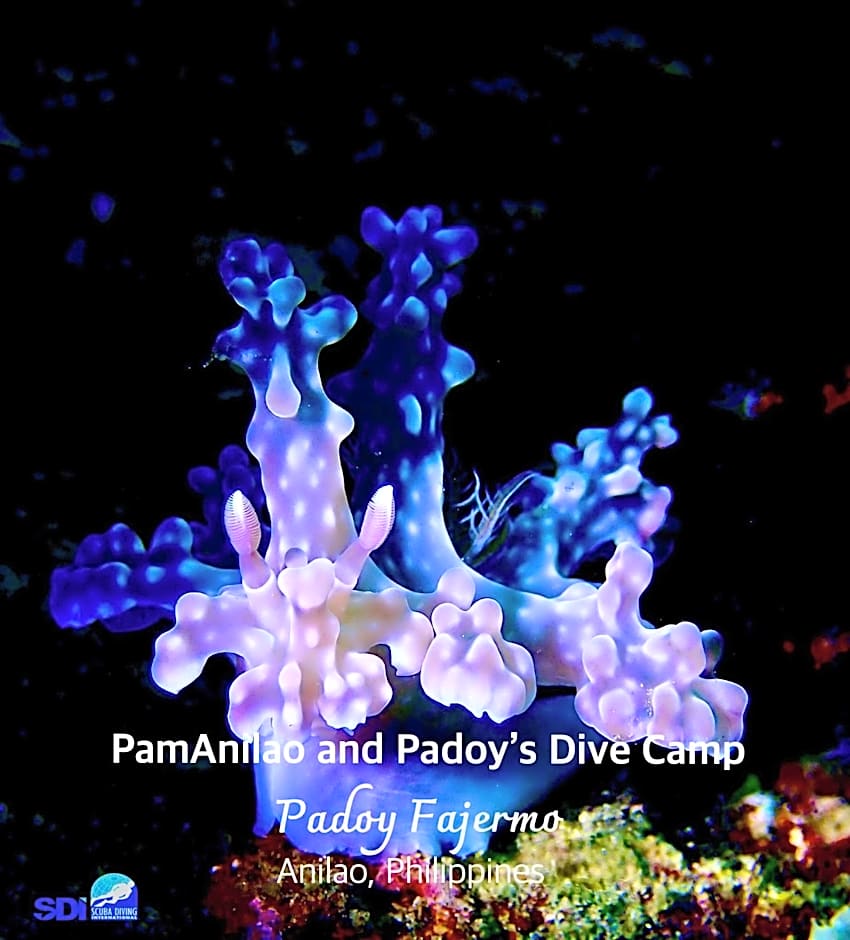 PamAnilao and Padoy's Dive Camp