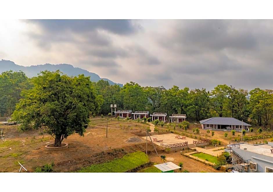 Dandeli Hill View Jungle Stay
