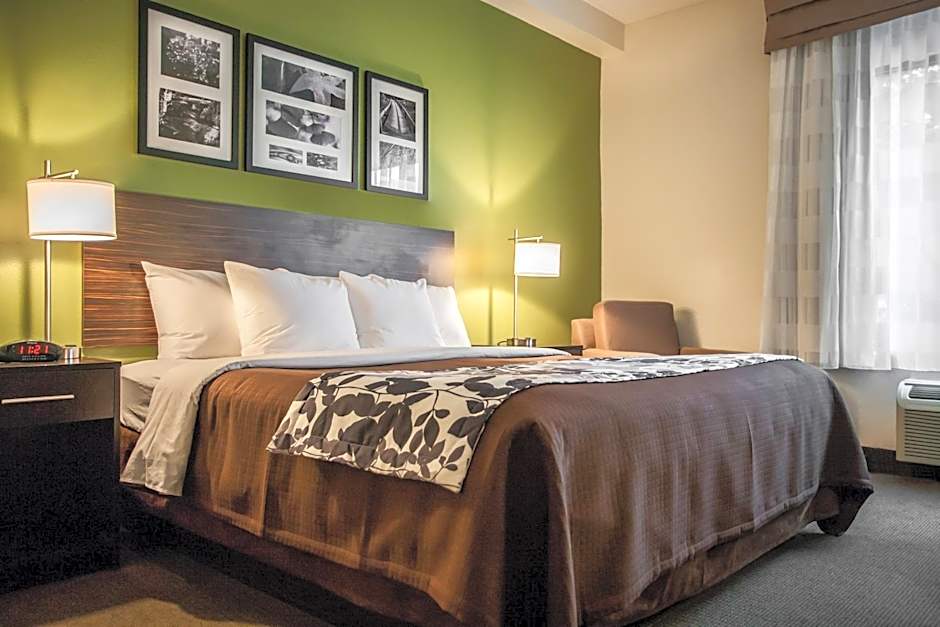 Photo 1 of 9 of 1 King Bed with Sofabed Suite