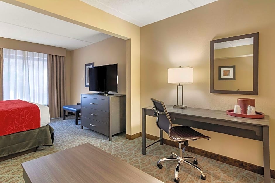 Comfort Suites Alpharetta/Roswell - Atlanta Area