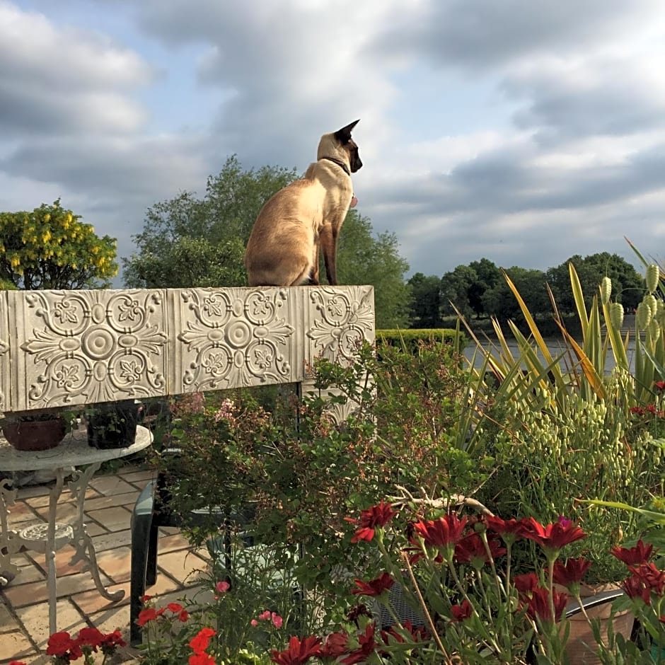 Chiswick Riviera with free parking