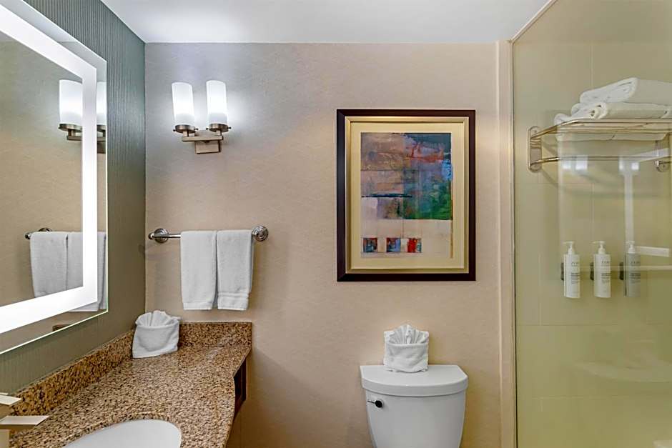 Hilton Garden Inn Houston Nw/America Plaza