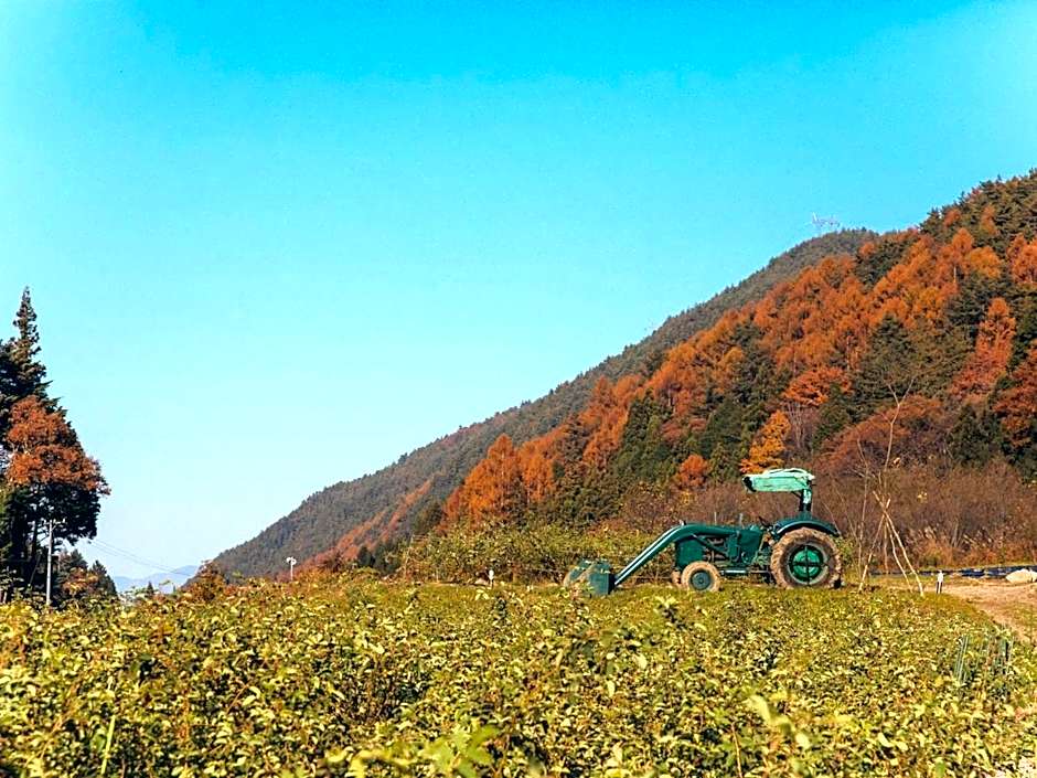 LA TERRA NAGANOーVacation STAY 96079v