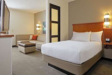 King Room with Sofa Bed and Accessible Tub - Disability Access