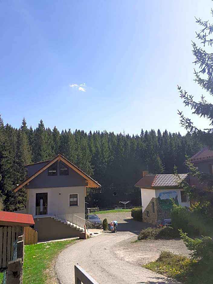 Appartements und Ferienhaus Gasthof Kanzlersgrund