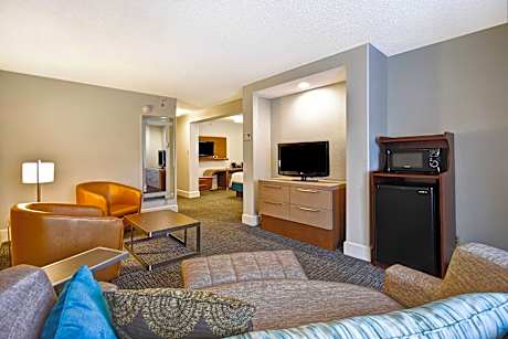 Room, 1 King Bed