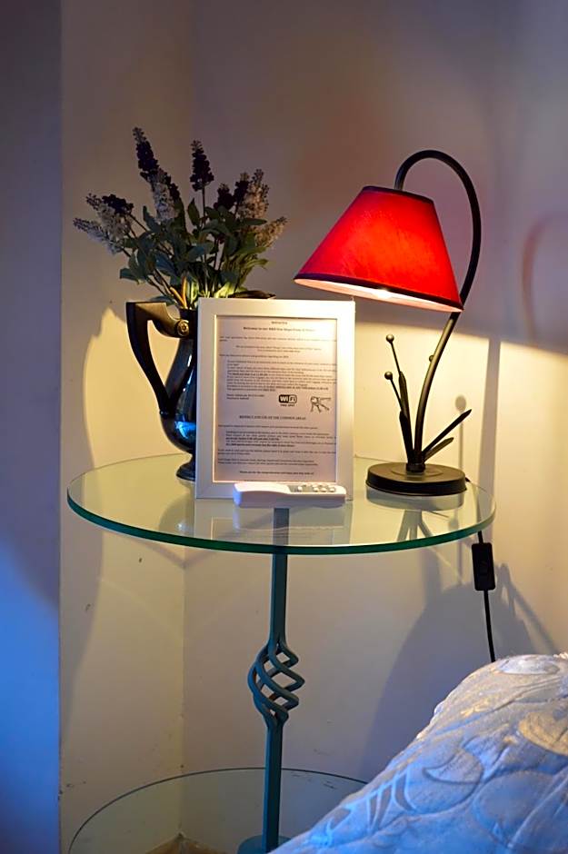 Daffodil in Roma San Pietro