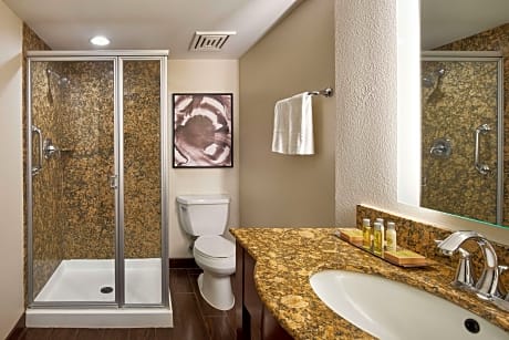 1 King Bed One Bedroom Suite