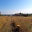 Ferme de la Combe - The Goldy's Farm