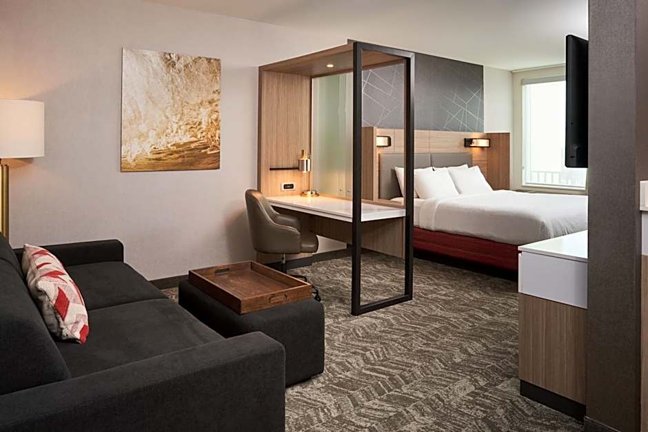 Photo 1 of 2 of Studio 1 King Bed with Trundle Bed, Mobility Accessible, Bathtub