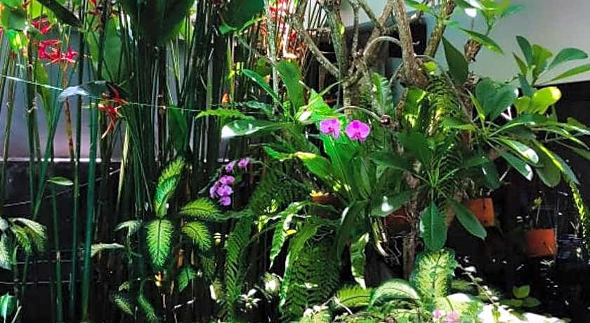 The Pavilion Hotel Kuta