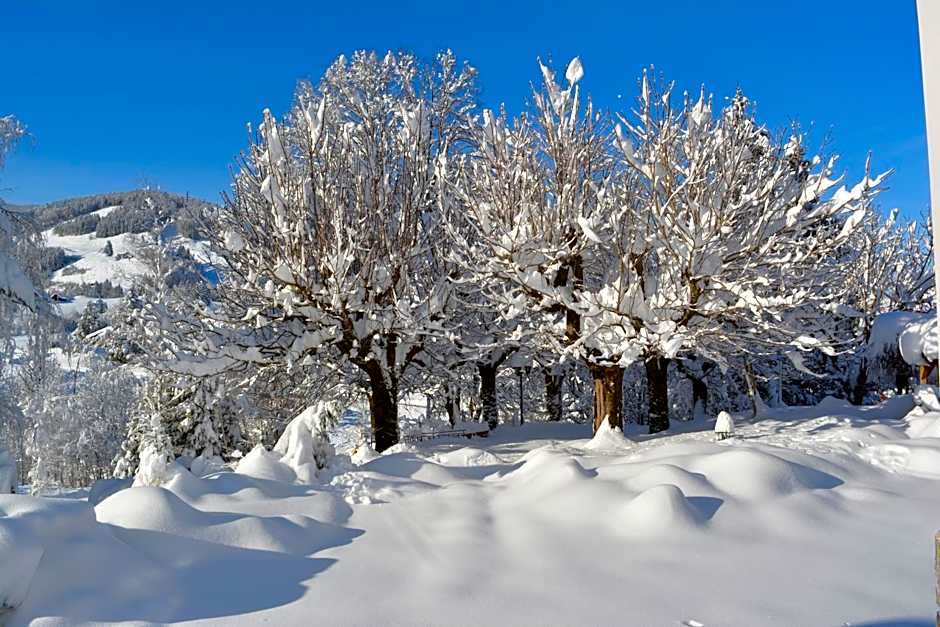 Hotel Restaurant Belvedere