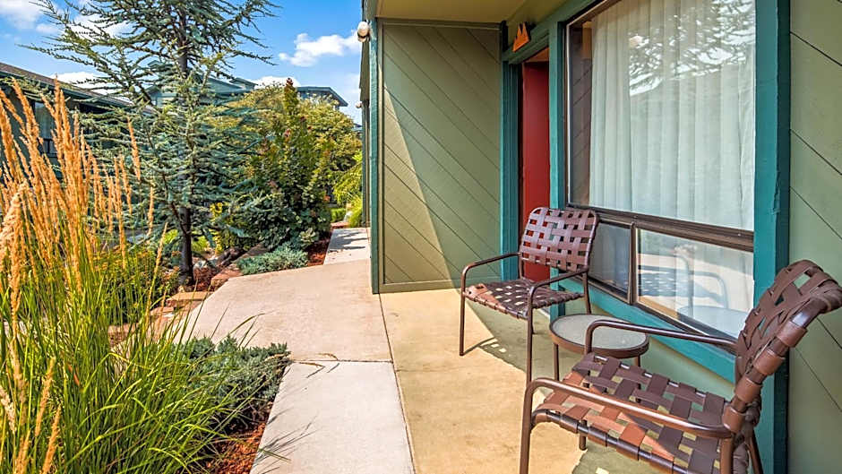 Best Western Plus Tree House