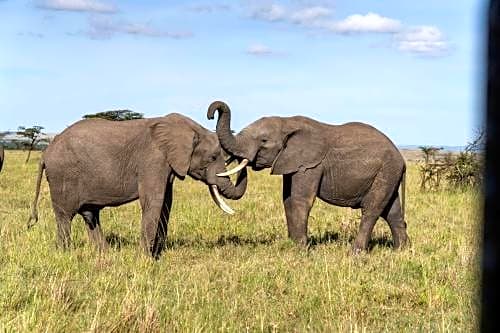 Olare Mara Kempinski