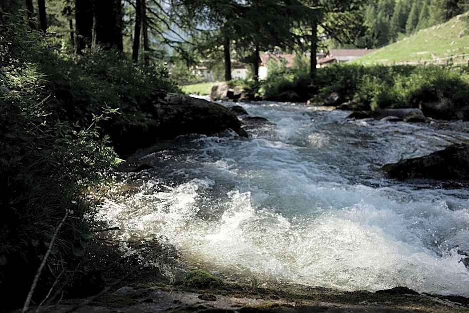 Alpengasthof Crusch Alba ed Alvetern, S-charl