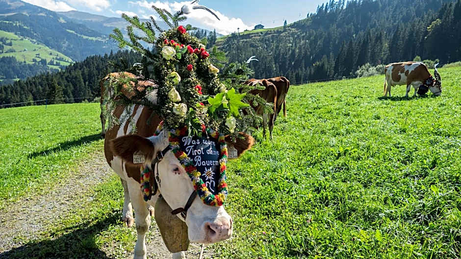 Gasthaus Obergaisberg