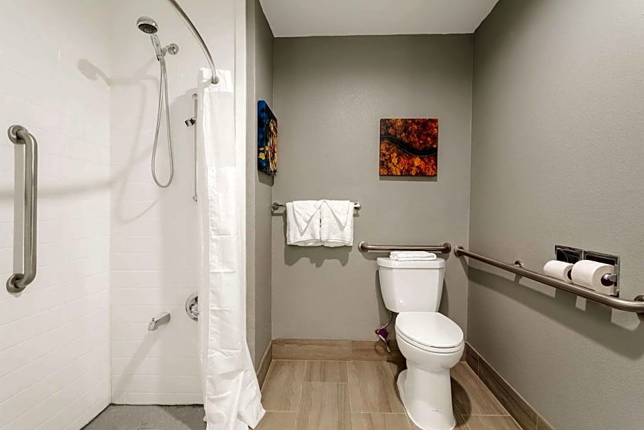 Best Western Plus Magnolia Inn & Suites