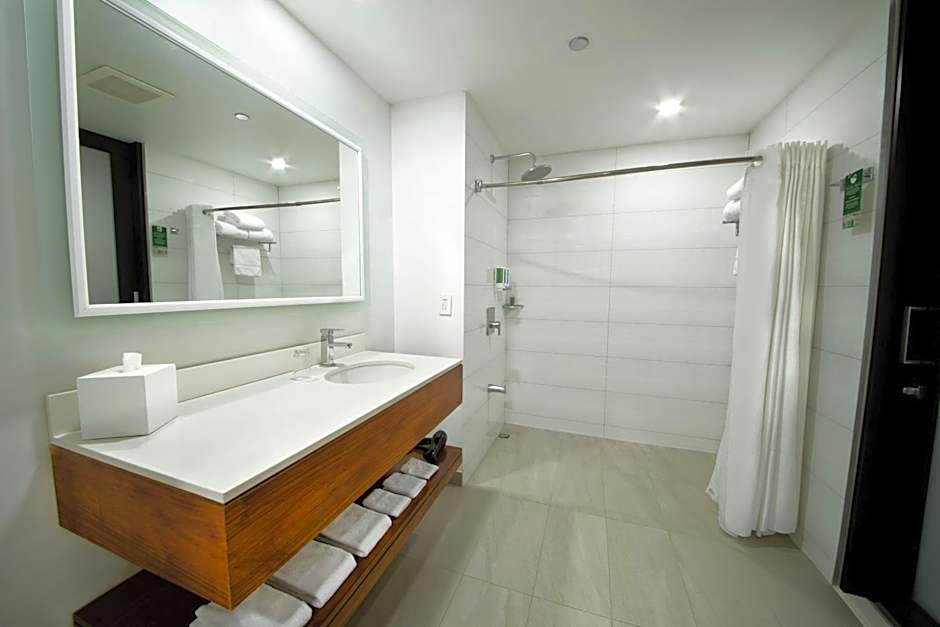 D Sabana Hotel San Jose