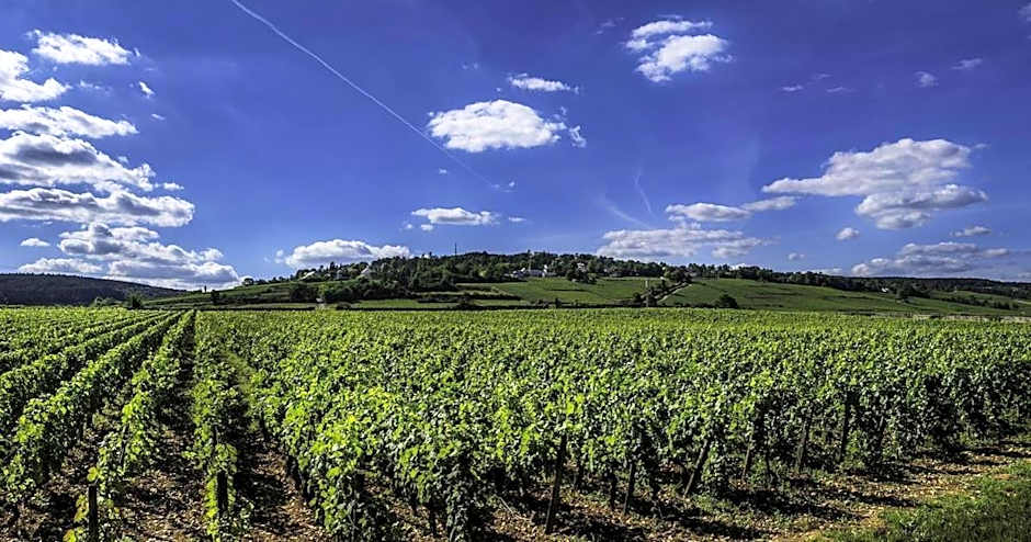 Gite La Maison du Tonnelier - Élégance & tradition sur la Route des Grands Crus