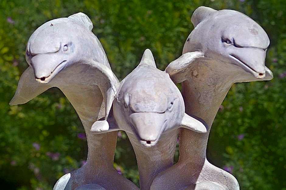 Villa Dolphins