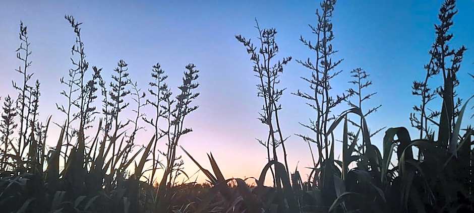 Ross Beach TOP10 Holiday Park