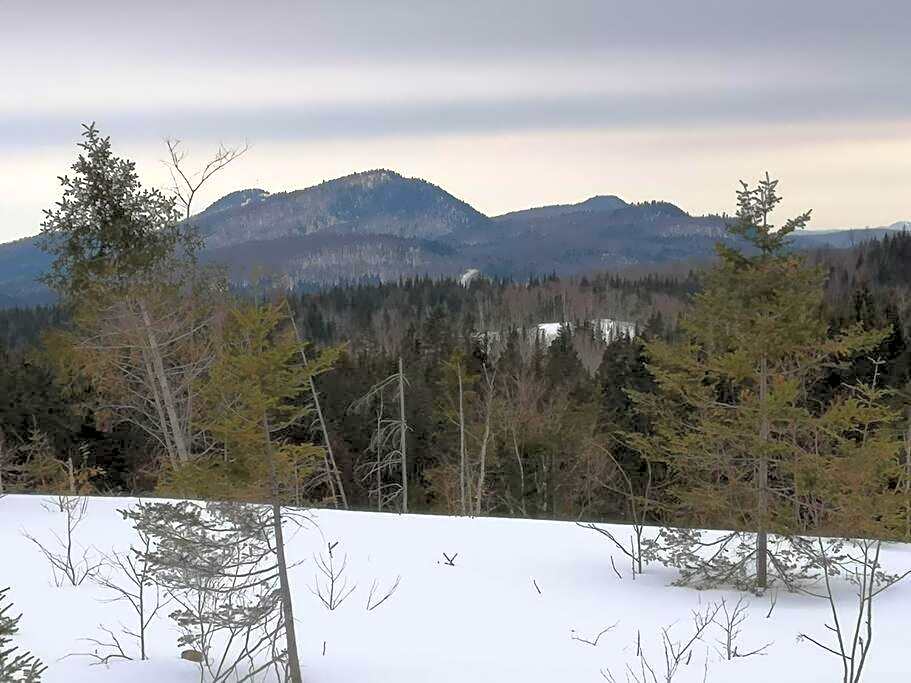 Refuge Rustic bordé par rivière et la nature