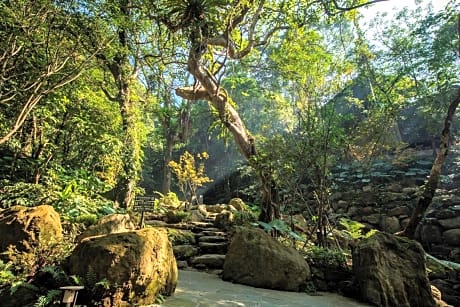 Great Roots Forestry Spa Resort