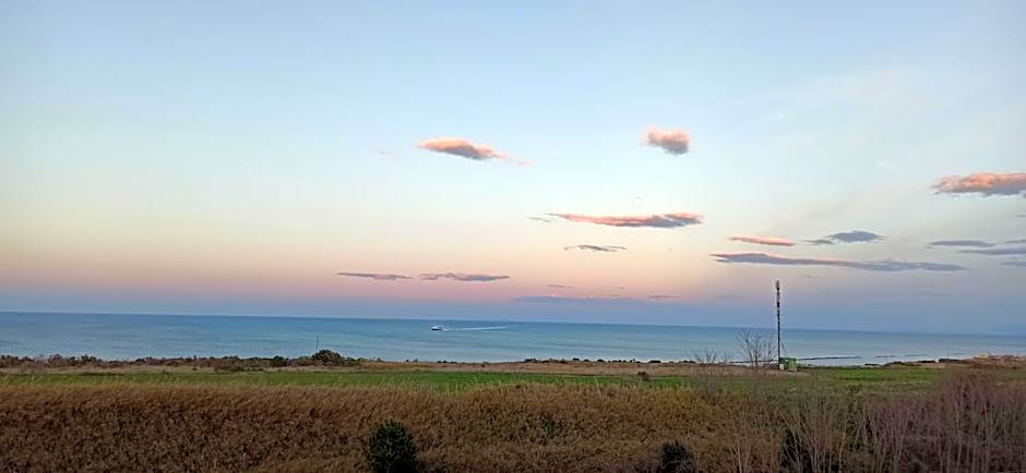 Foto 1 dari 18 — Studio, Sea View