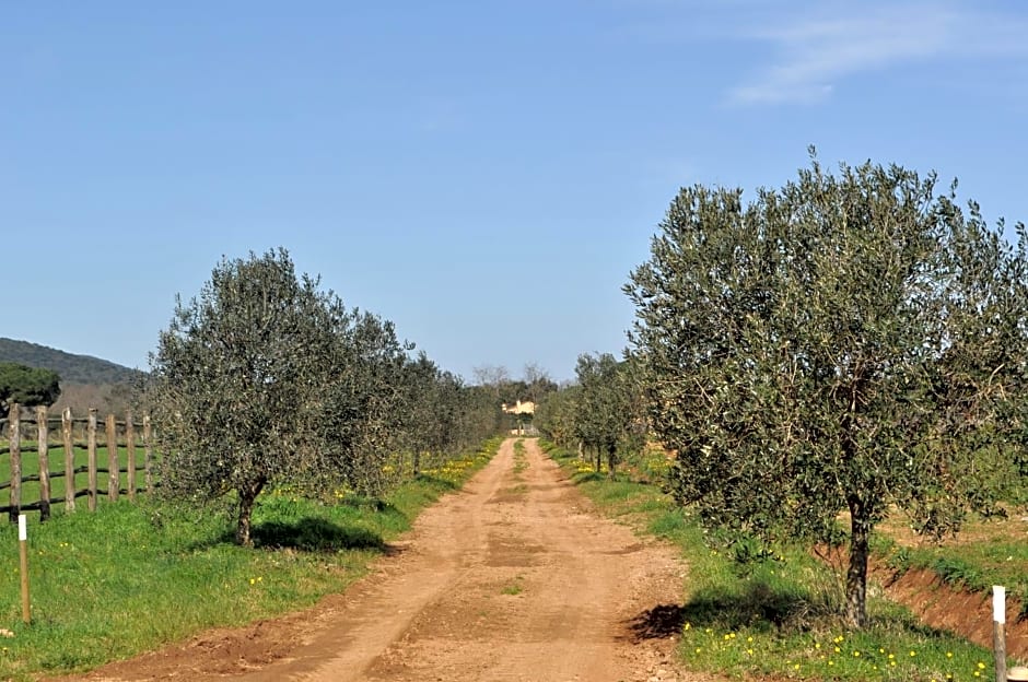 Tenuta Agricola dell'Uccellina